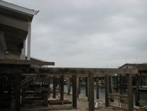 Image 5 of 8 Ave Q Galveston Texas grdennyandson.com
